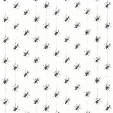 Kasmir Fabrics Miss Spider Spider Web Fabric 